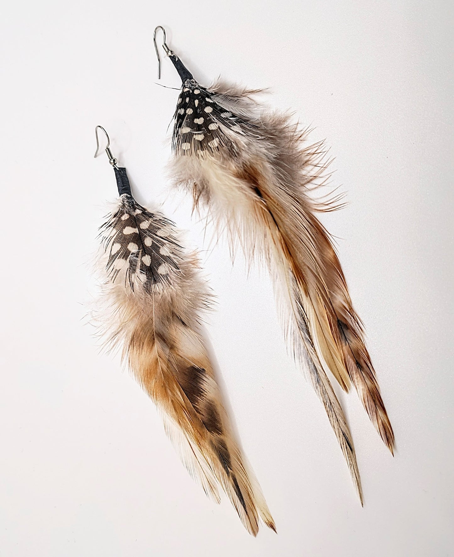 Birds of a Feather