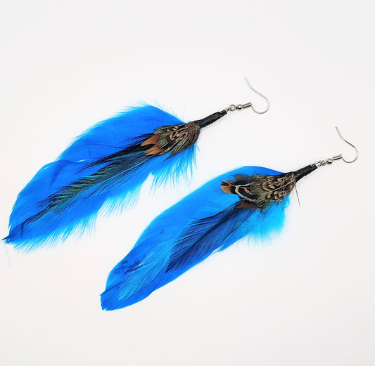 Turquoise Feathers